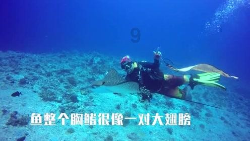 万词王